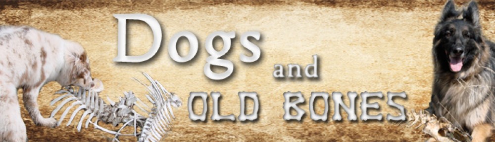 Dogs and Old Bones